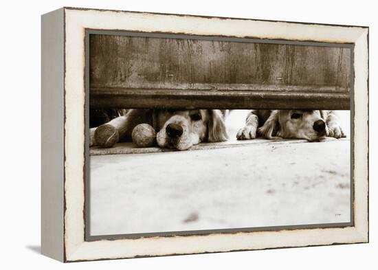 We See You v2-Jim Dratfield-Framed Stretched Canvas