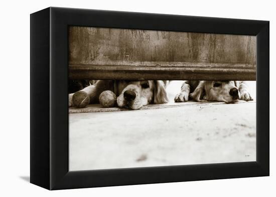 We See You v2-Jim Dratfield-Framed Stretched Canvas