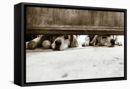 We See You v2-Jim Dratfield-Framed Stretched Canvas