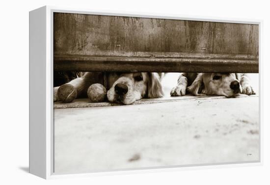 We See You v2-Jim Dratfield-Framed Stretched Canvas