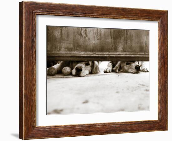 We See You-Jim Dratfield-Framed Photo