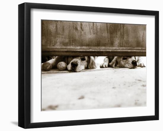 We See You-Jim Dratfield-Framed Photo