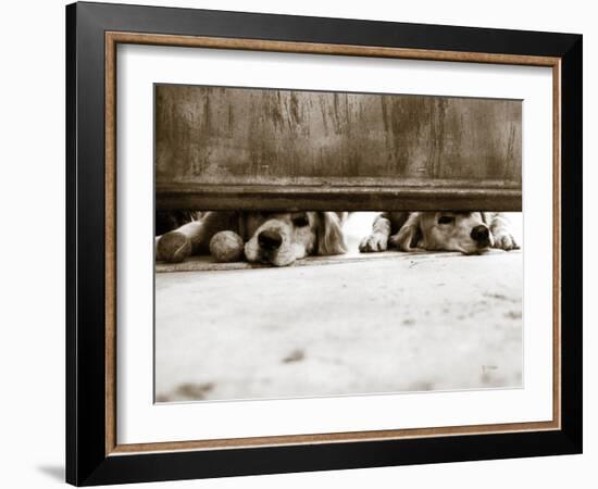 We See You-Jim Dratfield-Framed Photo