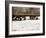 We See You-Jim Dratfield-Framed Photo