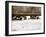 We See You-Jim Dratfield-Framed Photo