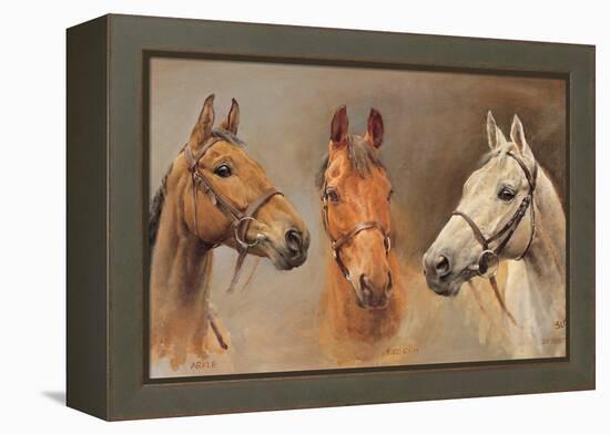 We Three Kings-Susan Crawford-Framed Stretched Canvas