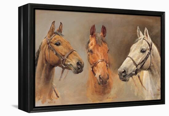 We Three Kings-Susan Crawford-Framed Stretched Canvas