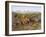 Weaning the Calves-Rosa Bonheur-Framed Giclee Print