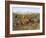 Weaning the Calves-Rosa Bonheur-Framed Giclee Print