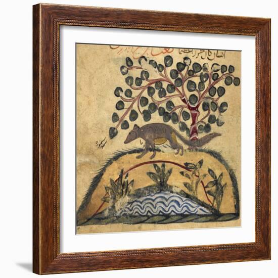 Weasel-Aristotle ibn Bakhtishu-Framed Giclee Print