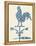 Weather Vane Rooster-Tina Carlson-Framed Stretched Canvas