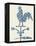 Weather Vane Rooster-Tina Carlson-Framed Stretched Canvas