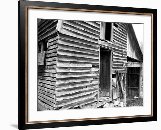 Weather Worn II-Alicia Ludwig-Framed Photographic Print