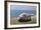 Weathered Boat-Zhen-Huan Lu-Framed Giclee Print