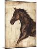 Weathered Equestrian I-Ethan Harper-Mounted Art Print