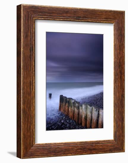 Weathered groyne, Exmoor National Park, Somerset, UK-Ross Hoddinott-Framed Photographic Print