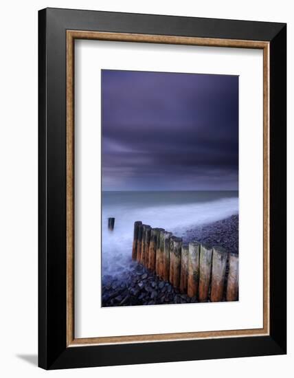 Weathered groyne, Exmoor National Park, Somerset, UK-Ross Hoddinott-Framed Photographic Print