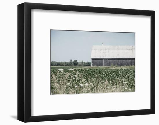 Weathered I-Elizabeth Urquhart-Framed Photographic Print