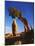 Weathered Juniper Tree Frames Rock Monolith, Joshua Tree National Park, California, Usa-Dennis Flaherty-Mounted Photographic Print