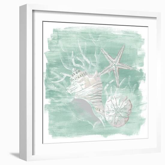 Weathered Shell Assortment I-June Vess-Framed Art Print