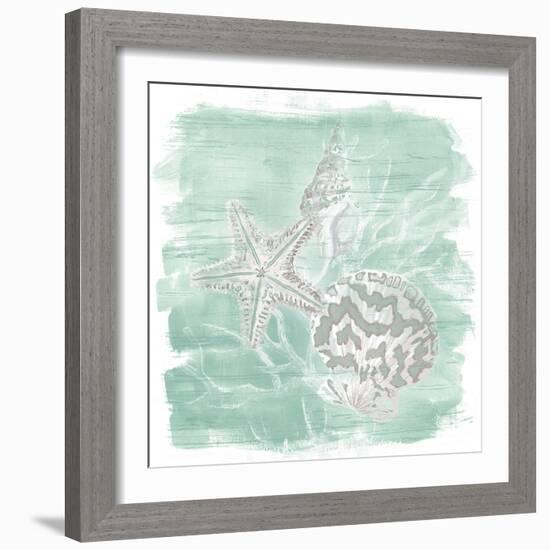 Weathered Shell Assortment II-June Vess-Framed Art Print