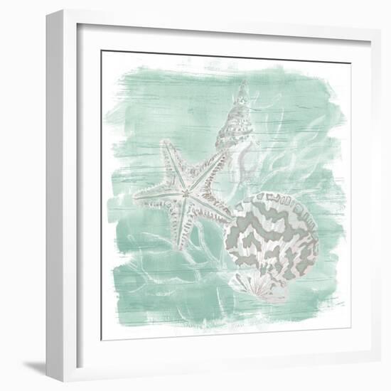 Weathered Shell Assortment II-June Vess-Framed Art Print