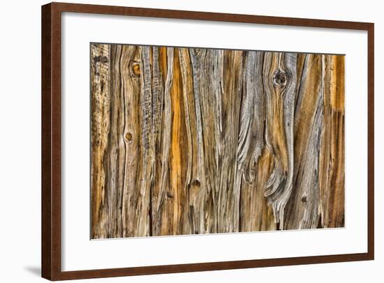 Weathered Wall II-Kathy Mahan-Framed Photographic Print