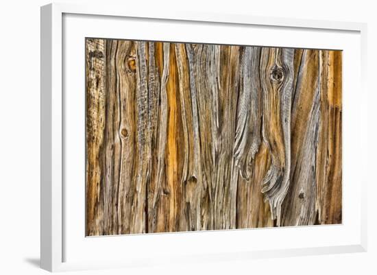 Weathered Wall II-Kathy Mahan-Framed Photographic Print