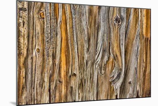 Weathered Wall II-Kathy Mahan-Mounted Photographic Print