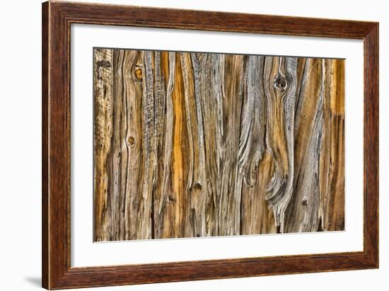 Weathered Wall II-Kathy Mahan-Framed Photographic Print