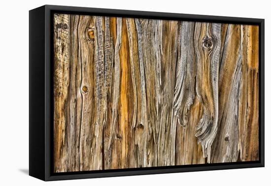 Weathered Wall II-Kathy Mahan-Framed Premier Image Canvas