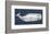 Weathered Whale-Sparx Studio-Framed Art Print