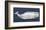 Weathered Whale-Sparx Studio-Framed Art Print