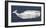 Weathered Whale-Sparx Studio-Framed Art Print