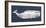 Weathered Whale-Sparx Studio-Framed Art Print