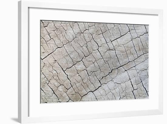 Weathered Wood I-Kathy Mahan-Framed Photographic Print