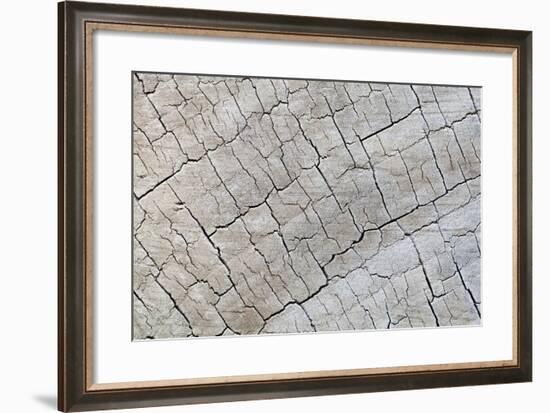 Weathered Wood I-Kathy Mahan-Framed Photographic Print