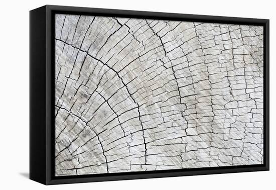 Weathered Wood II-Kathy Mahan-Framed Premier Image Canvas