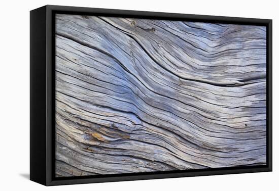 Weathered Wood III-Kathy Mahan-Framed Premier Image Canvas