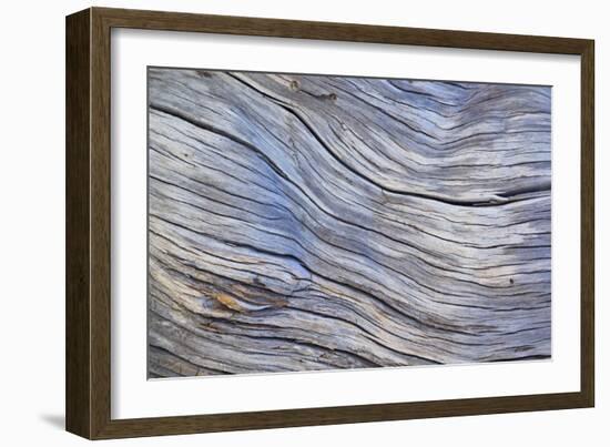 Weathered Wood III-Kathy Mahan-Framed Photographic Print