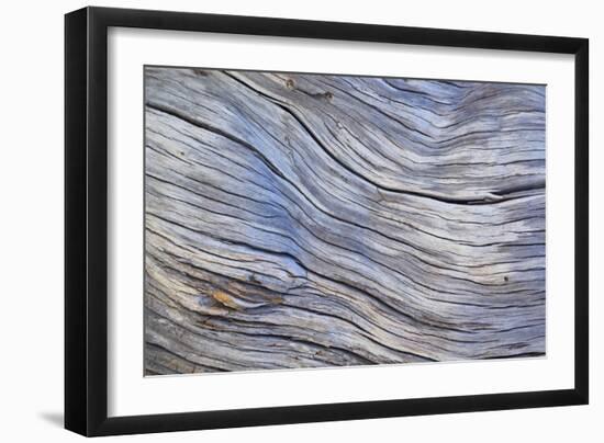 Weathered Wood III-Kathy Mahan-Framed Photographic Print