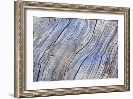 Weathered Wood IV-Kathy Mahan-Framed Photographic Print