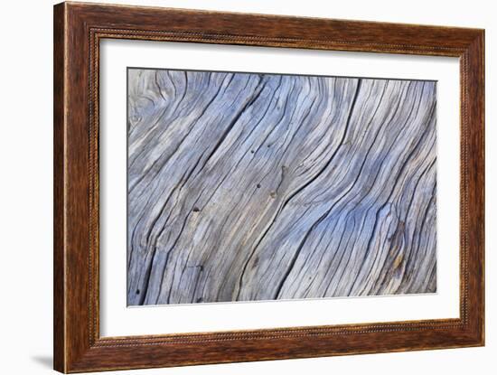 Weathered Wood IV-Kathy Mahan-Framed Photographic Print