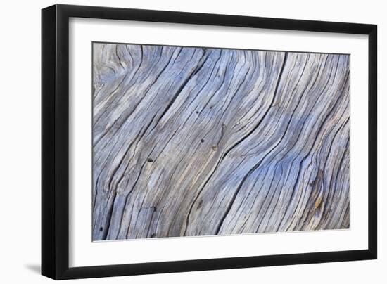 Weathered Wood IV-Kathy Mahan-Framed Photographic Print