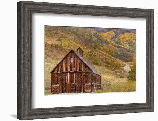 Weathered Wooden Barn Near Telluride in the Uncompahgre National Forest, Colorado, Usa-Chuck Haney-Framed Photographic Print