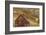 Weathered Wooden Barn Near Telluride in the Uncompahgre National Forest, Colorado, Usa-Chuck Haney-Framed Photographic Print