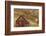 Weathered Wooden Barn Near Telluride in the Uncompahgre National Forest, Colorado, Usa-Chuck Haney-Framed Photographic Print