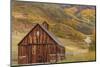 Weathered Wooden Barn Near Telluride in the Uncompahgre National Forest, Colorado, Usa-Chuck Haney-Mounted Photographic Print