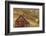 Weathered Wooden Barn Near Telluride in the Uncompahgre National Forest, Colorado, Usa-Chuck Haney-Framed Photographic Print