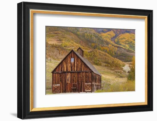 Weathered Wooden Barn Near Telluride in the Uncompahgre National Forest, Colorado, Usa-Chuck Haney-Framed Photographic Print